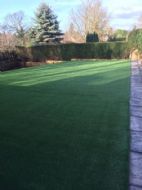 Click for all images